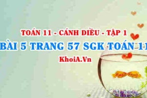 Bài 5 trang 57 SGK Toán 11 tập 1 Cánh Diều